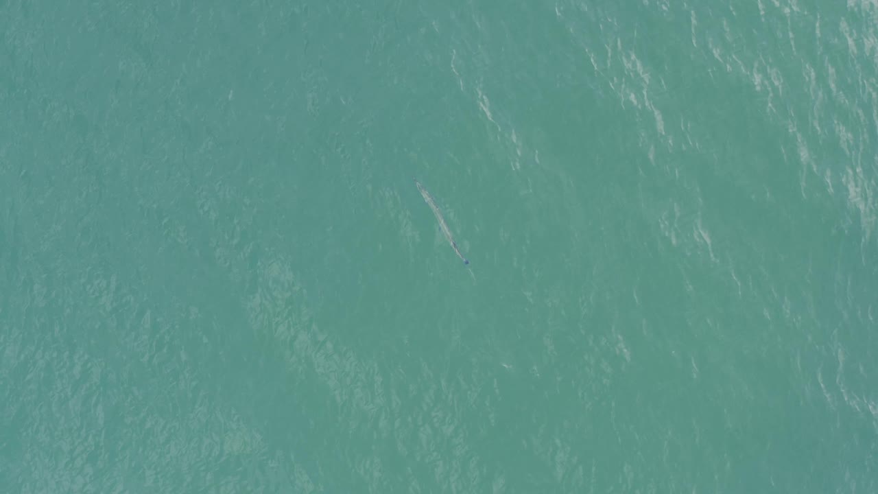Open turquoise ocean in Baja California Sur, Mexico, showing diagonal pale reflections across the surface and no shoreline, boats, or visible people.