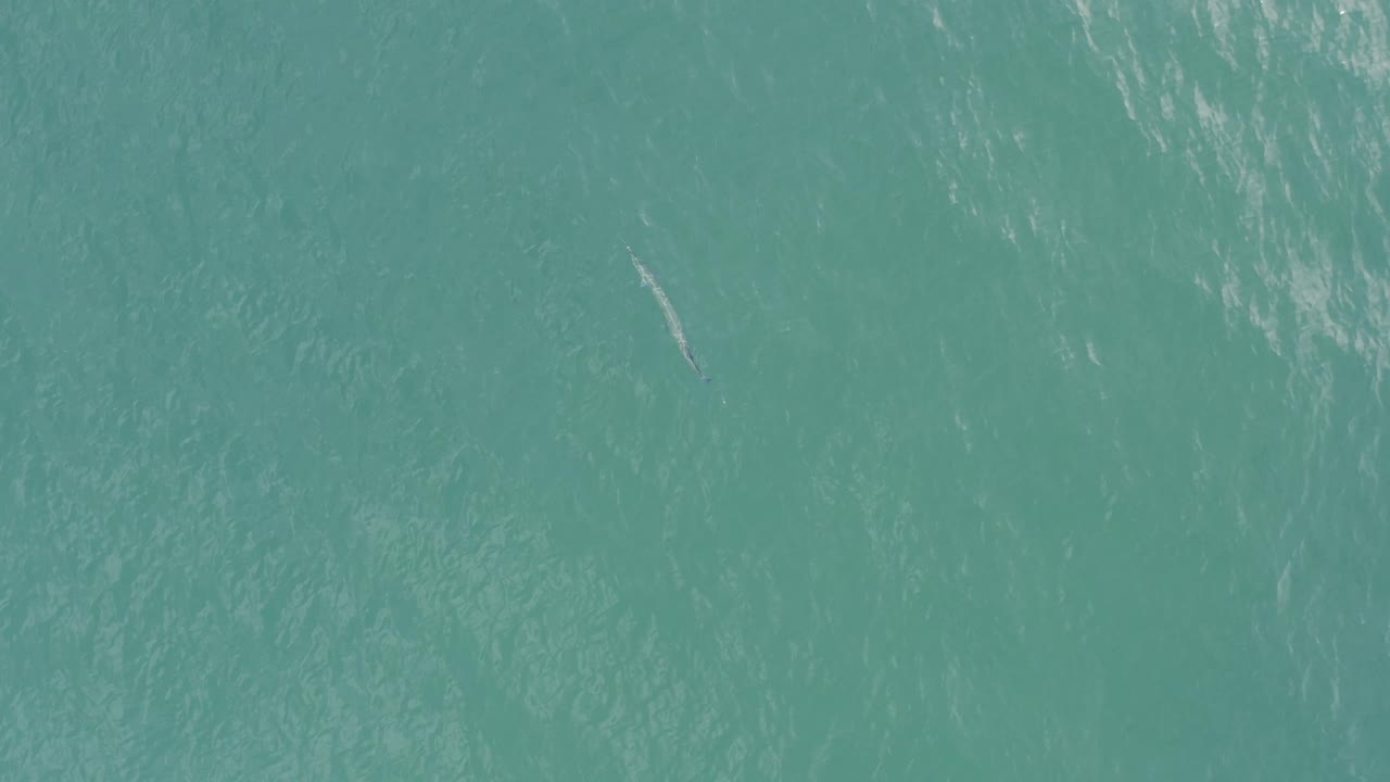 Rippling teal water in Baja California Sur, Mexico, with broken bright highlights across the surface and no visible people or structures.