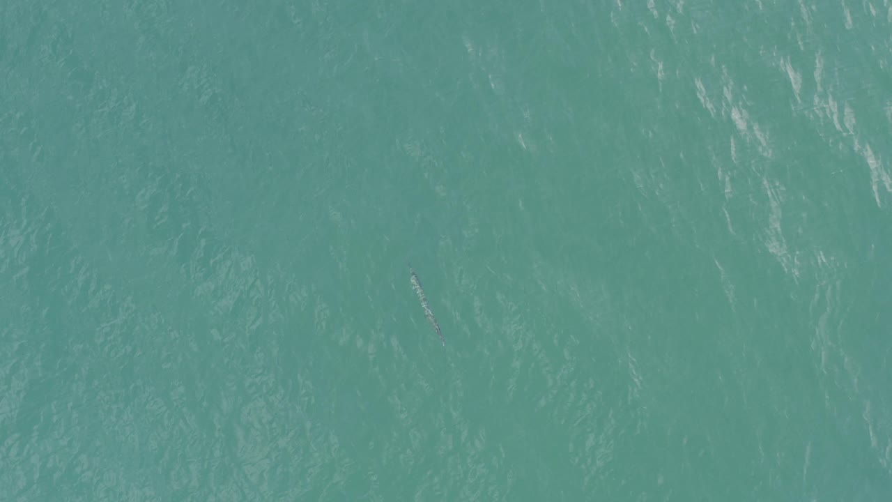 Turquoise ocean surface with faint ripples and light streaks