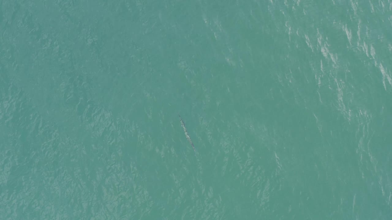 Aerial frame of calm teal ocean in Baja California Sur, Mexico, showing slightly brighter surface streaks and no visible people.