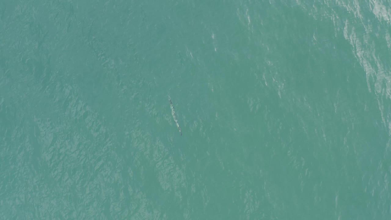 Top-down ocean view in Baja California Sur, Mexico, with broad turquoise color, fine wind texture, and no visible people or objects.