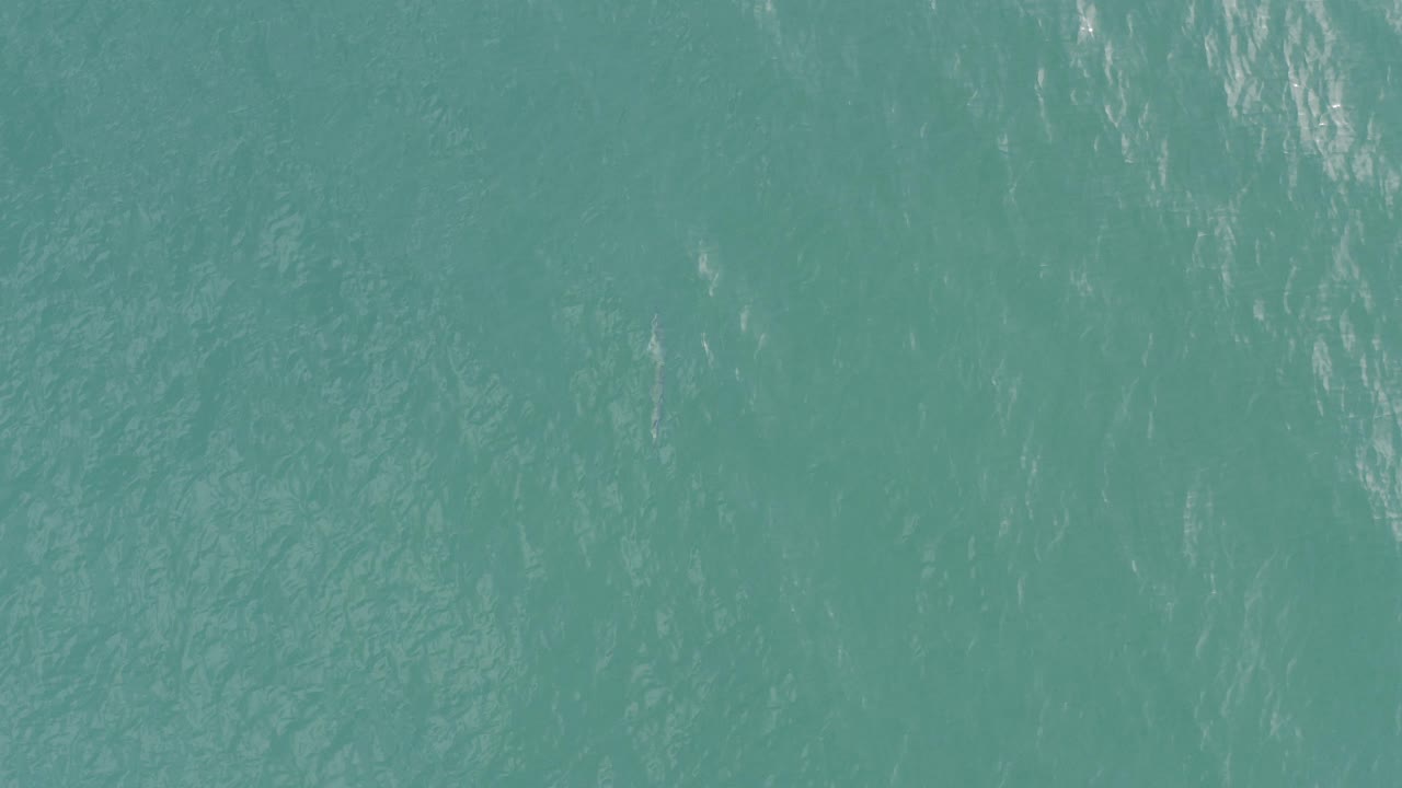 Overhead view of turquoise ocean water in Baja California Sur, Mexico, with faint ripples and soft reflections, no visible people.