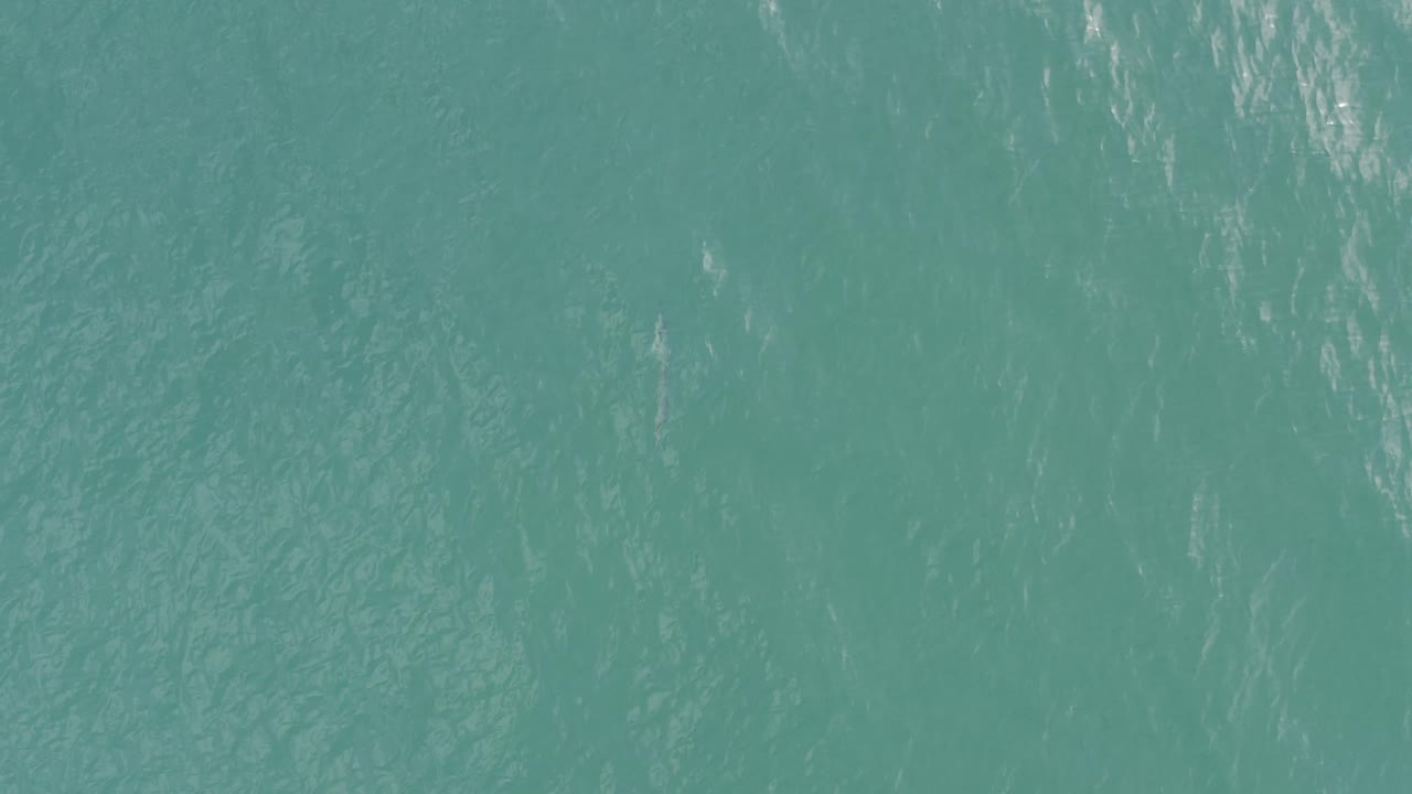 Aqua sea surface with light streaks and small wave texture.