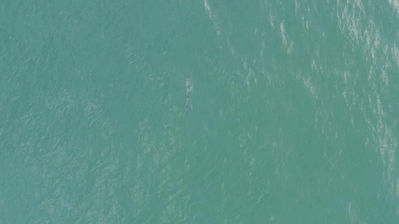 Top-down turquoise water in Baja California Sur, Mexico, with scattered pale reflections and no shoreline or vessels in view, no visible people.