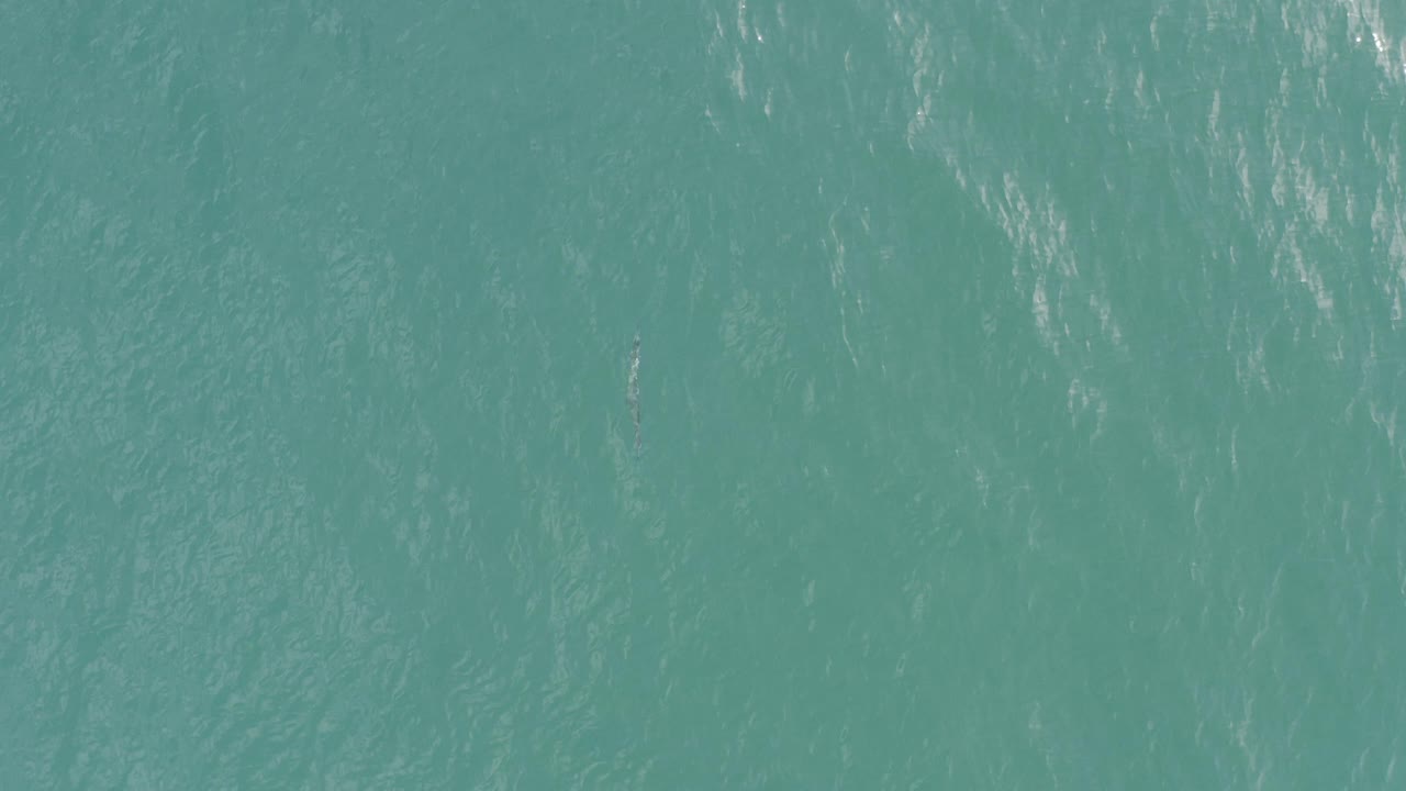 Overhead green ocean water with faint ripples