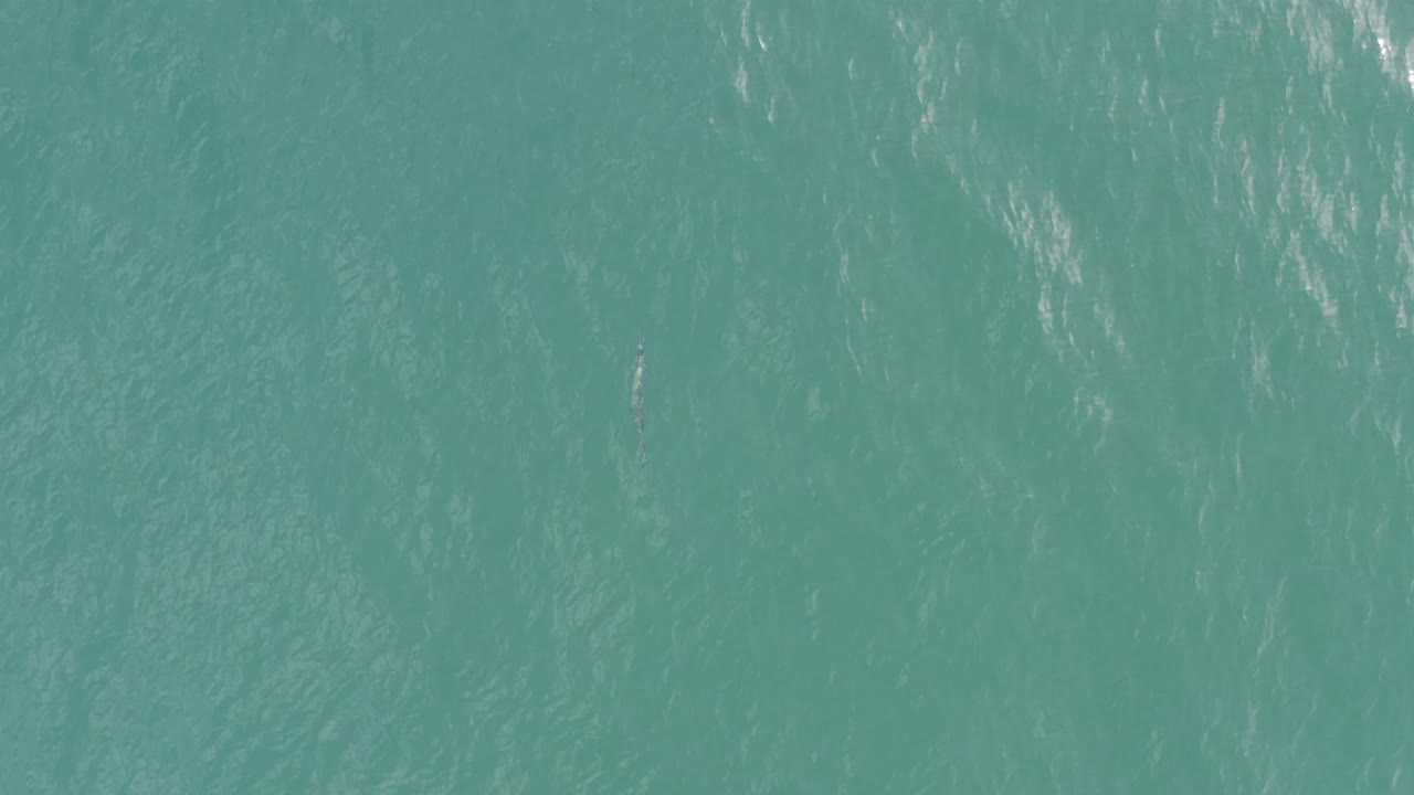 Green ocean surface in Baja California Sur, Mexico, seen from above with brighter vertical ripple highlights across the water, no visible people.