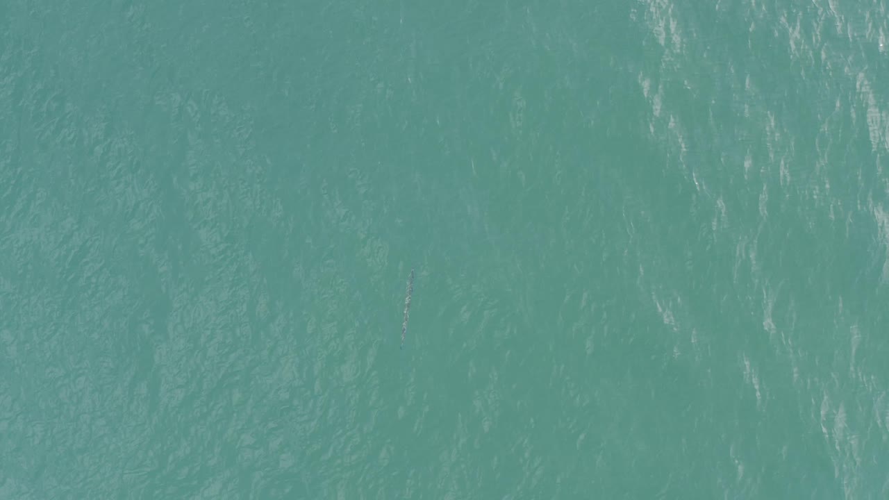 Teal-green ocean water in Baja California Sur, Mexico, filling the frame with fine surface texture and pale light marks, no visible people.
