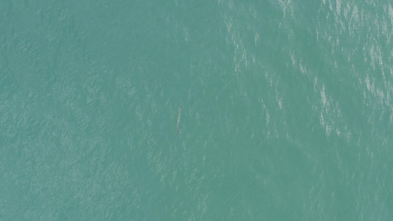 Aerial view of green sea surface in Baja California Sur, Mexico, with scattered white highlights from small ripples, no visible people.