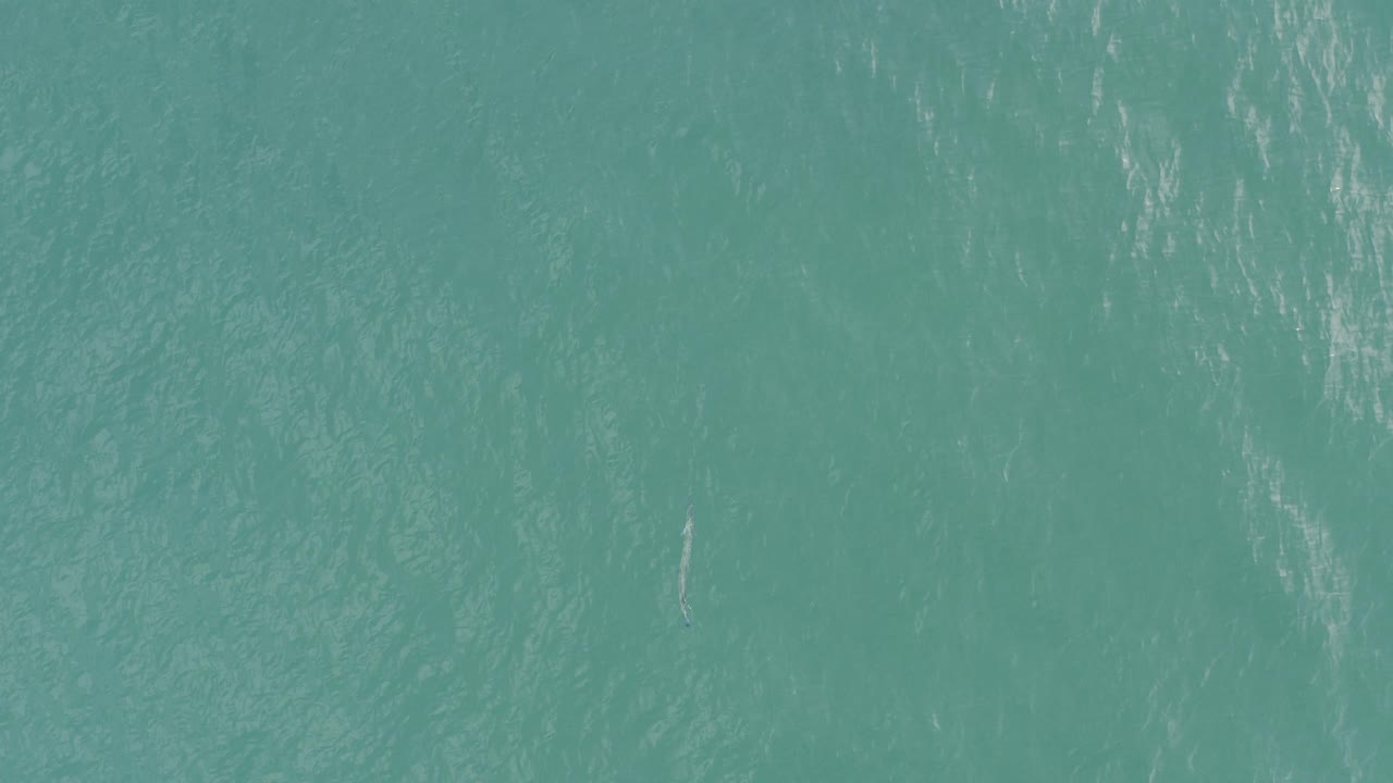Turquoise ocean water in Baja California Sur, Mexico fills the opening frame with faint diagonal ripples and no visible people.