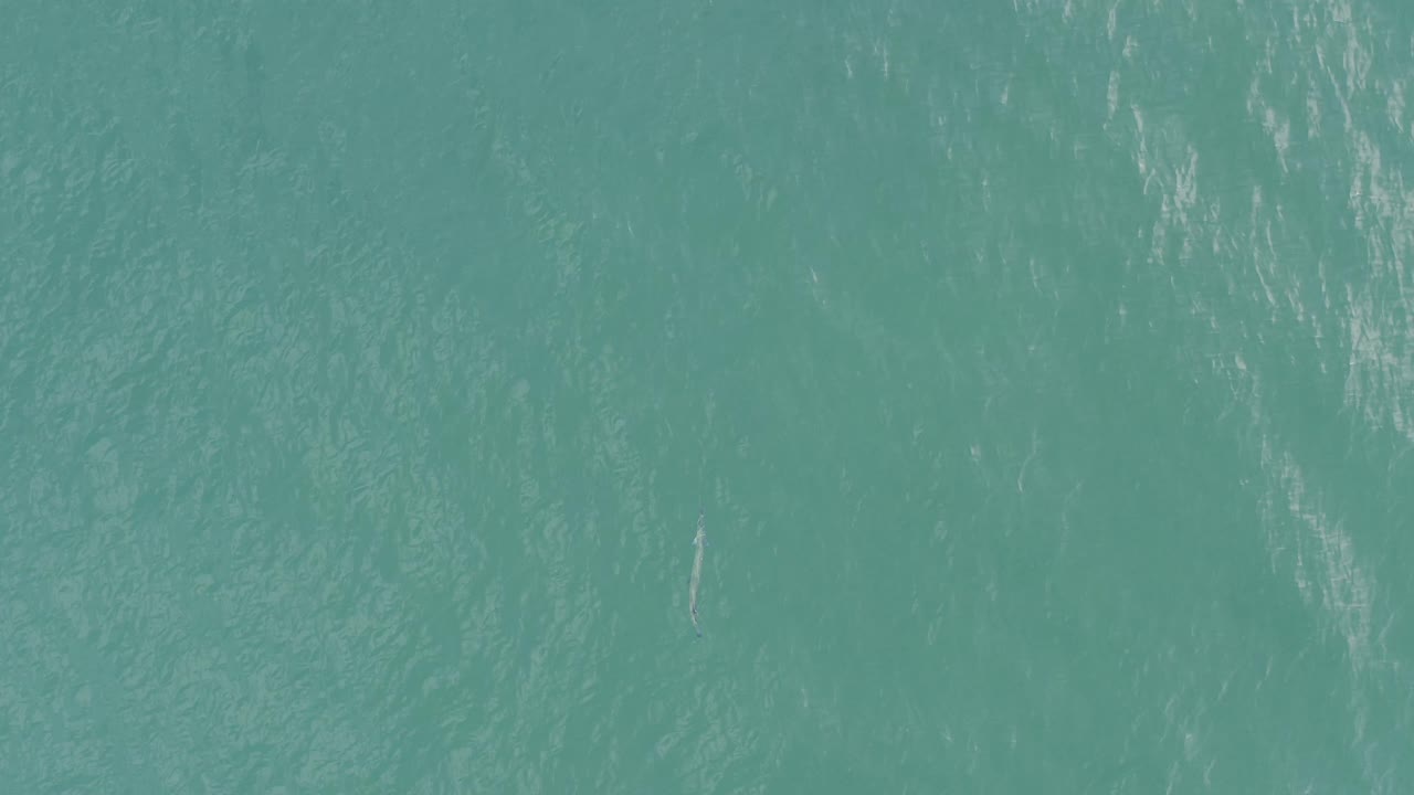 Blue-green water in Baja California Sur, Mexico shows brighter surface streaks crossing the frame, with no horizon and no visible people.
