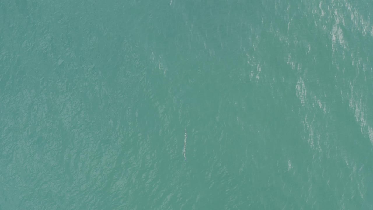 Clear turquoise ocean water in Baja California Sur, Mexico fills the frame with soft wave texture and no boats, shoreline, or visible people.