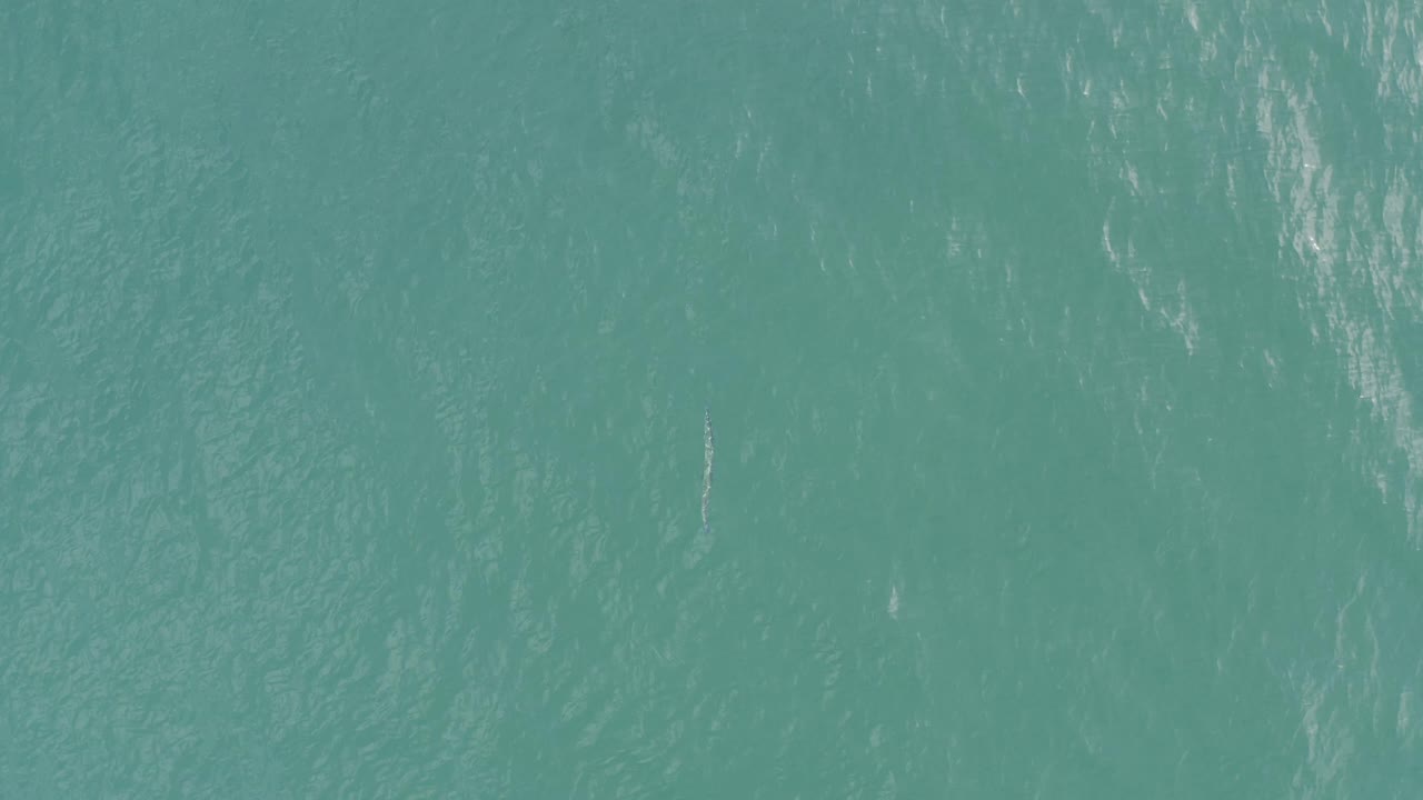 Turquoise ocean surface in Baja California Sur, Mexico shows pale wind marks and fine ripples across an uninterrupted water field, with no visible people.