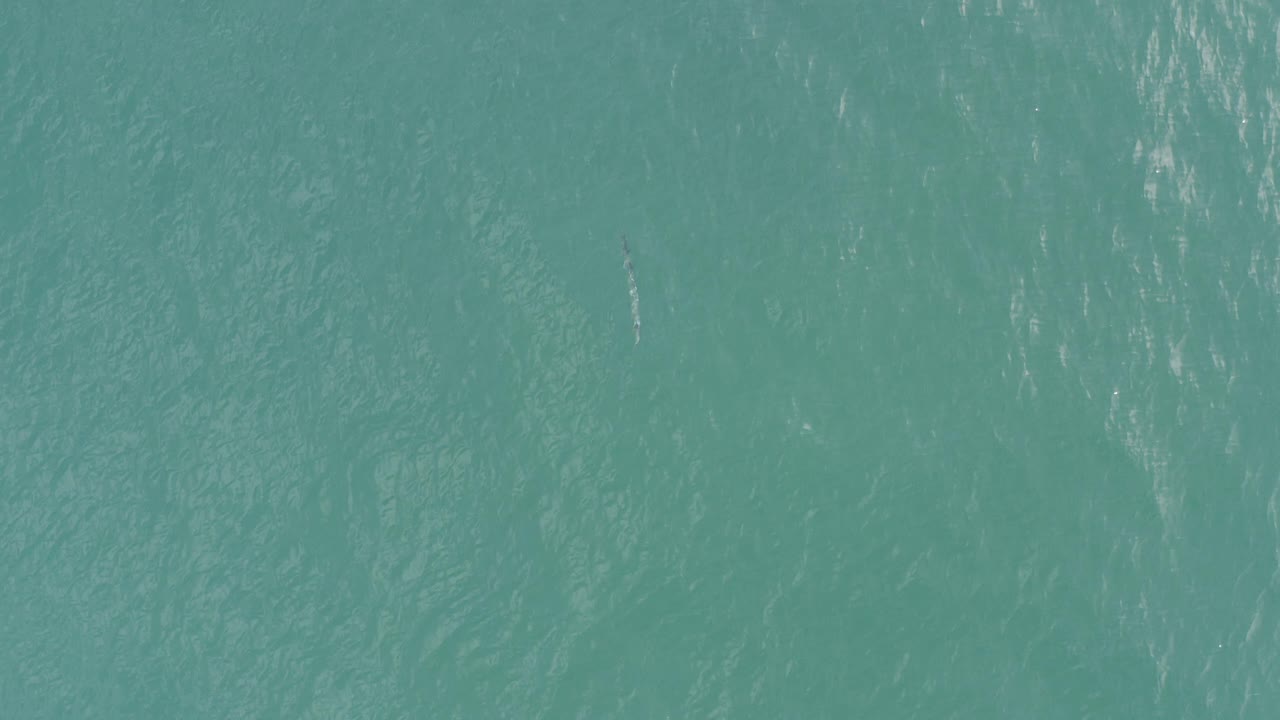 Overhead view of turquoise ocean water in Baja California Sur, Mexico, with fine ripples and no visible people.