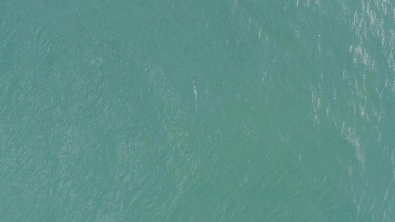 Blue-green ocean surface fills the frame in Baja California Sur, Mexico, with faint diagonal ripple patterns and no visible people.