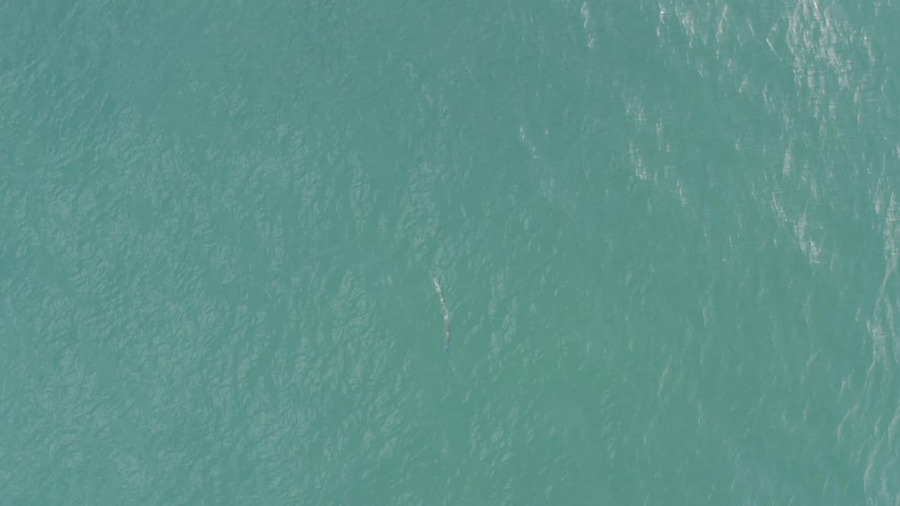 Top-down Baja California Sur ocean view showing turquoise water, scattered bright reflections, and no visible people or boats.