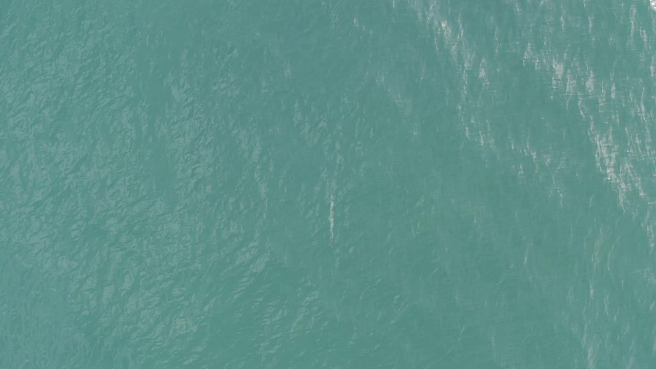 Aquamarine ocean surface in Baja California Sur, Mexico, filled with small ripples and scattered light shimmer at the start of the clip, with no visible people.