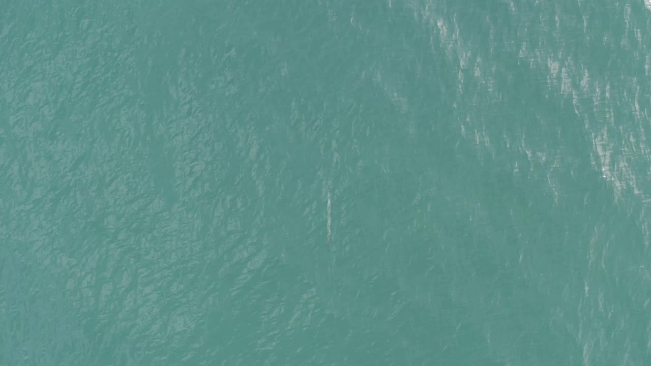 Close water surface with soft ripples and brighter reflective streaks.