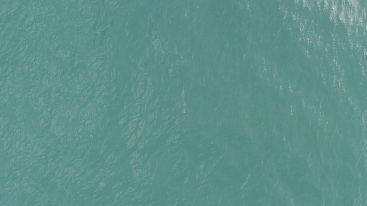 The ocean surface in Baja California Sur remains frame-filling, with subtle current lines and muted daylight glare over aquamarine water, with no visible people.