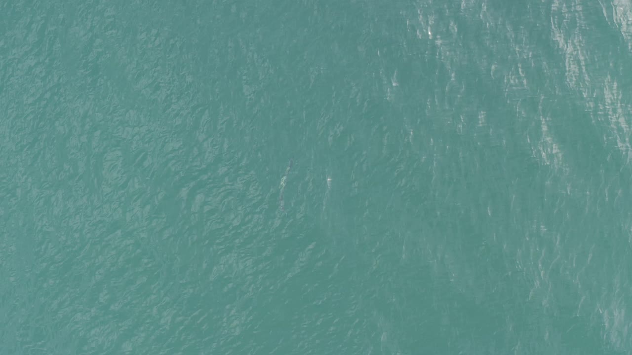 Blue-green ocean water in Baja California Sur, Mexico, appears as an abstract aerial texture with small surface patterns and no visible people.