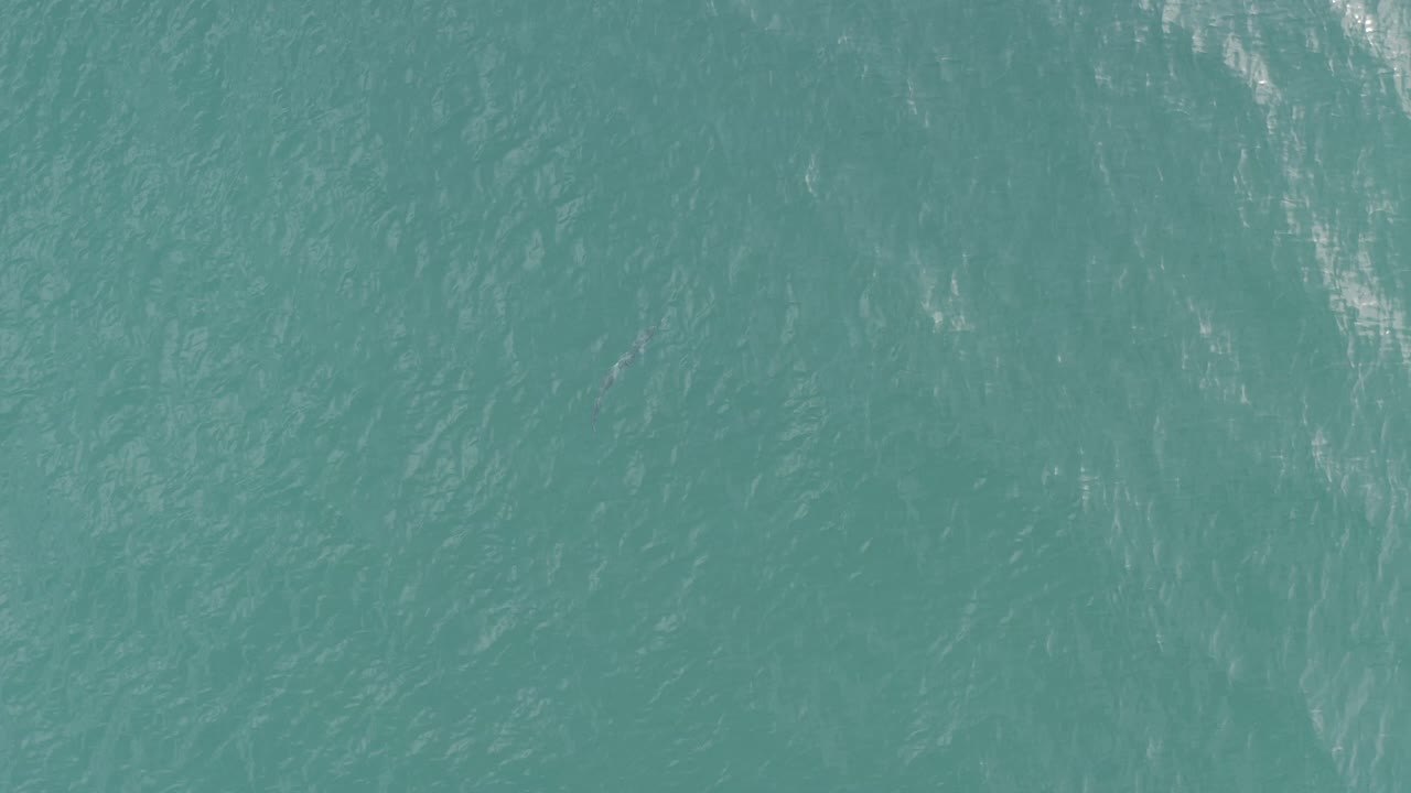 Turquoise ocean in Baja California Sur, Mexico, fills the frame with brighter white reflections crossing the rippled surface, no visible people.