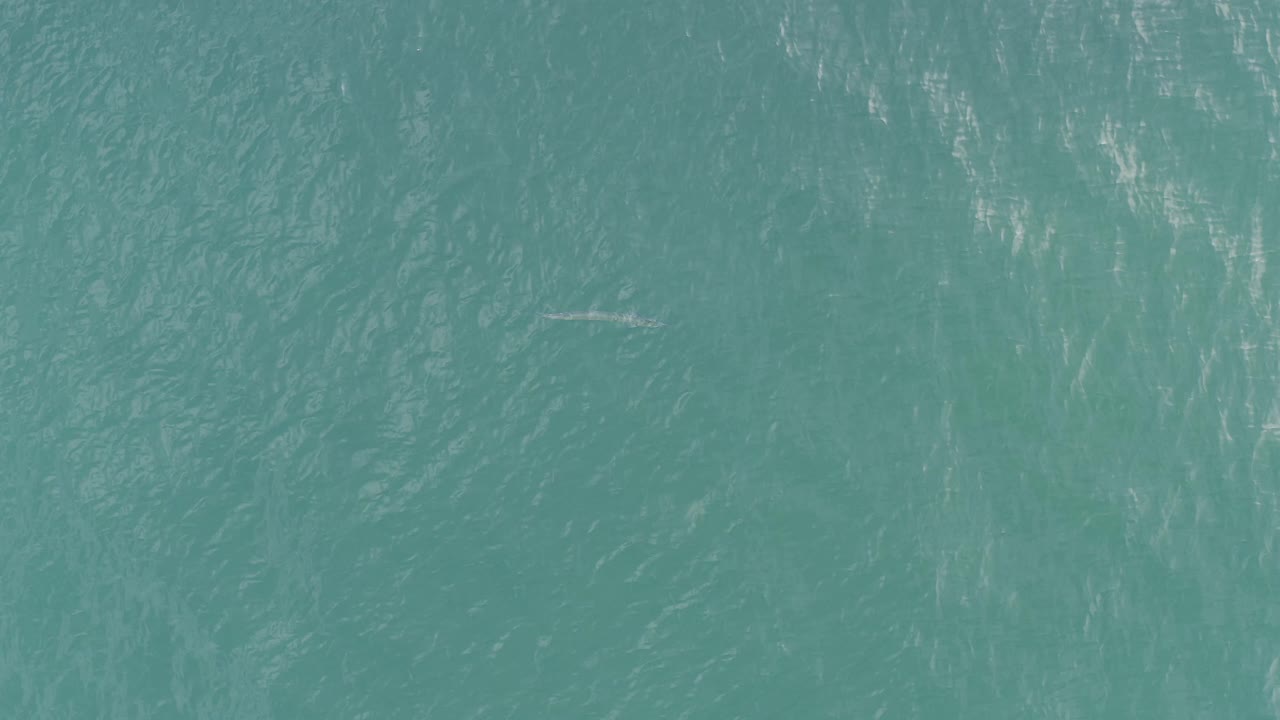 Overhead green-blue water in Baja California Sur shows a small fish-like shape toward the lower right amid pale reflected streaks and no visible people.