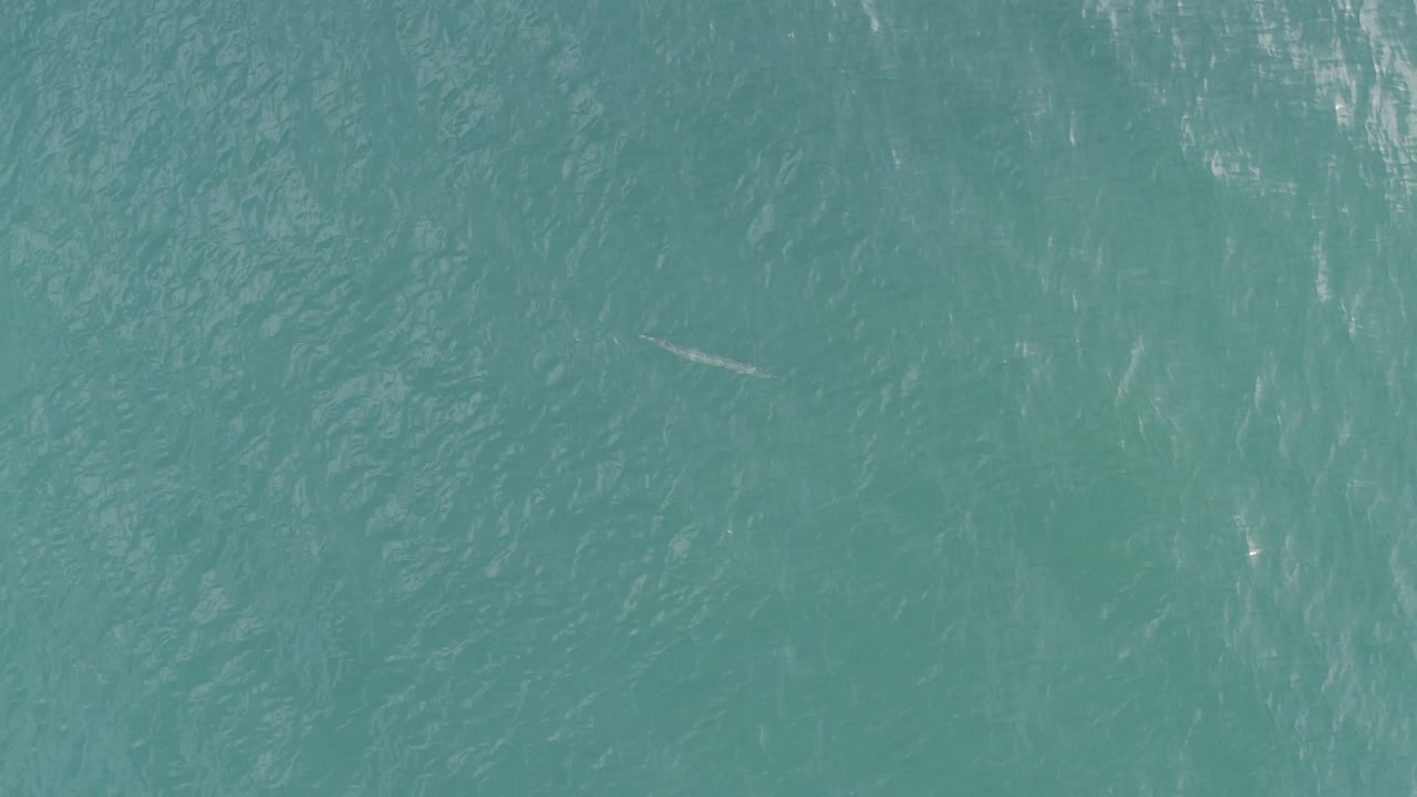 Clear teal water in Baja California Sur shows a small fish-like mark left of center beneath rippled surface patterns, with no visible people.
