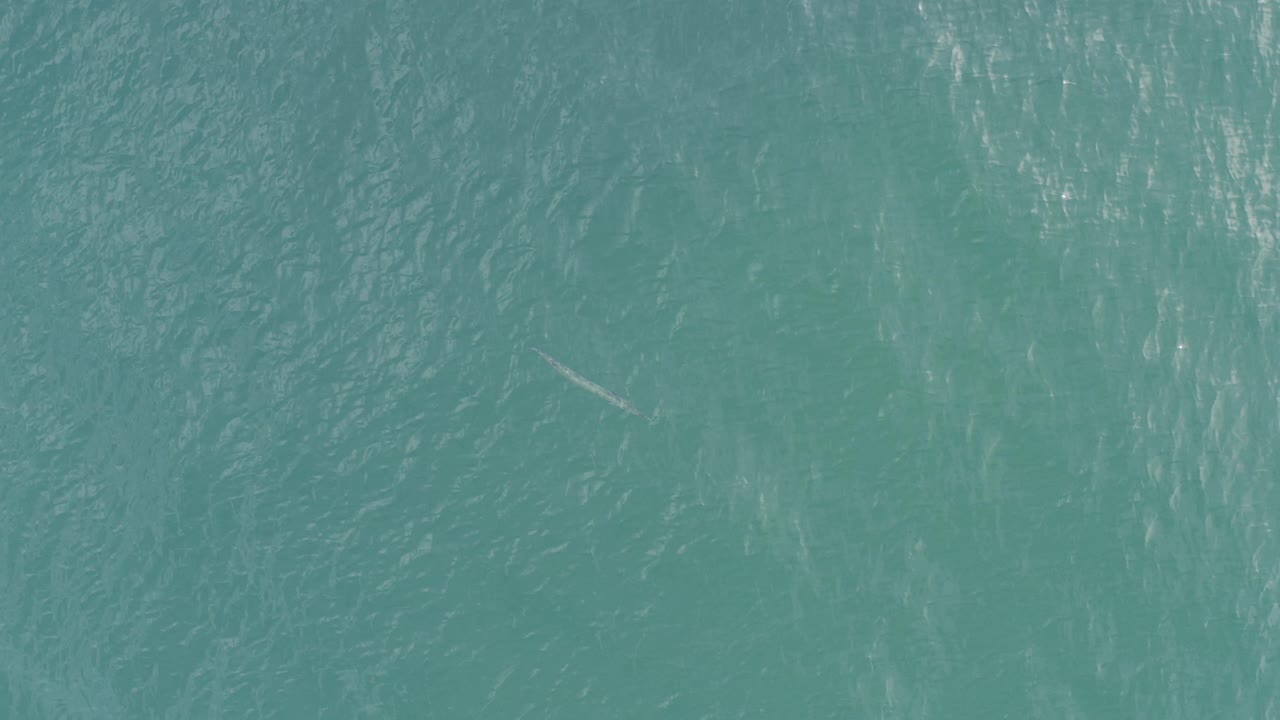 Top-down view of teal ocean water in Baja California Sur with rippled surface texture, faint white reflections, a small pale linear shape near the upper left, and no visible people.