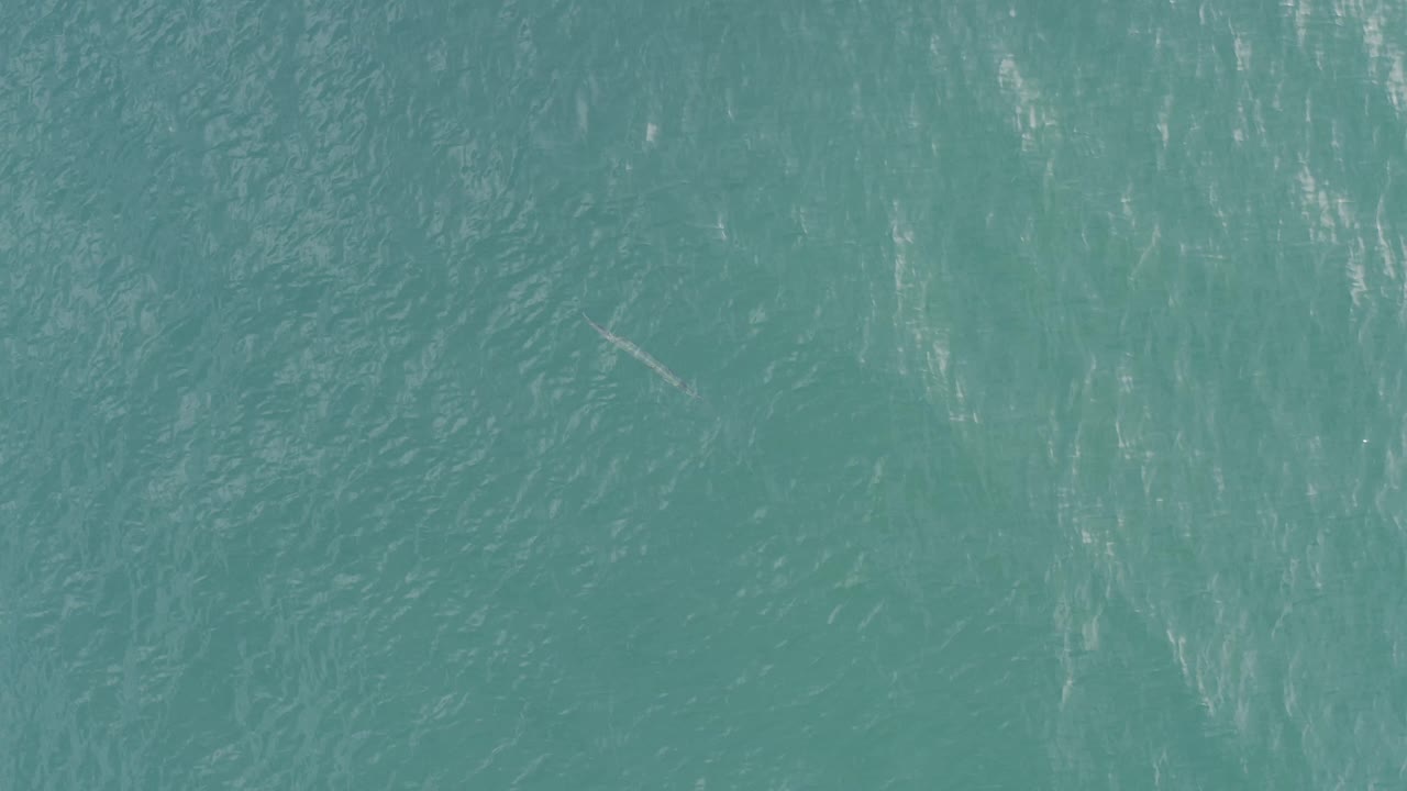 Top-down Baja California Sur ocean frame showing green-blue water, fine wave texture, scattered bright reflections, a pale streak right of center, and no visible people.
