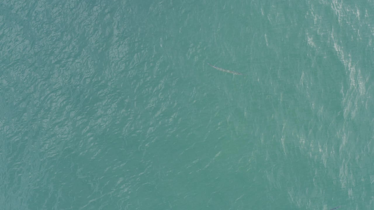 Overhead view of turquoise ocean in Baja California Sur, Mexico, with faint white surface streaks and no visible people at the opening moment.