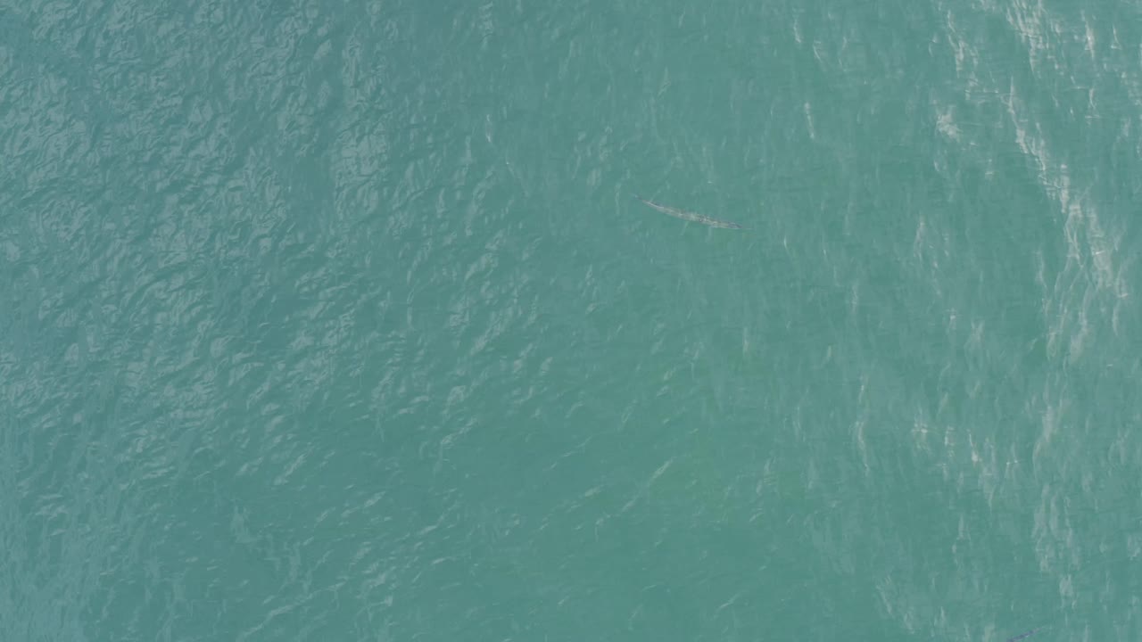Blue-green ocean surface fills the frame in Baja California Sur, Mexico, with a slightly different band of white ripple texture and no visible people.