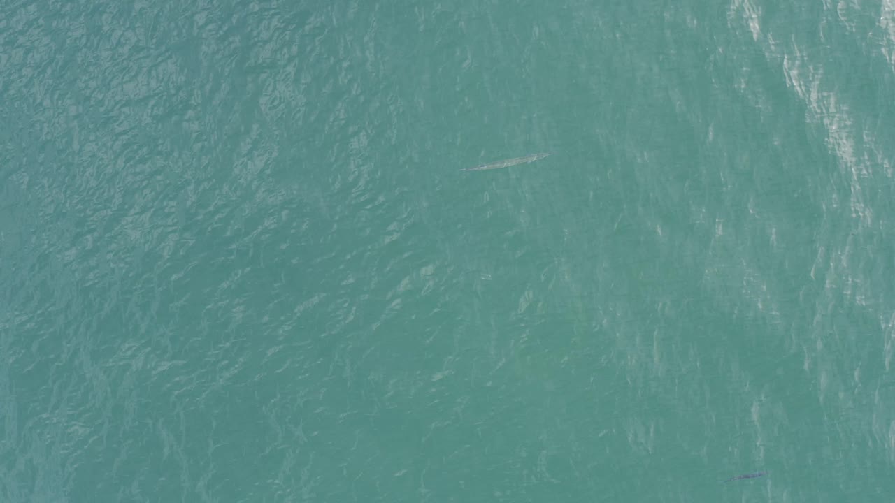 Overhead sea surface in Baja California Sur, Mexico, showing brighter white streaks over blue water and no visible people.