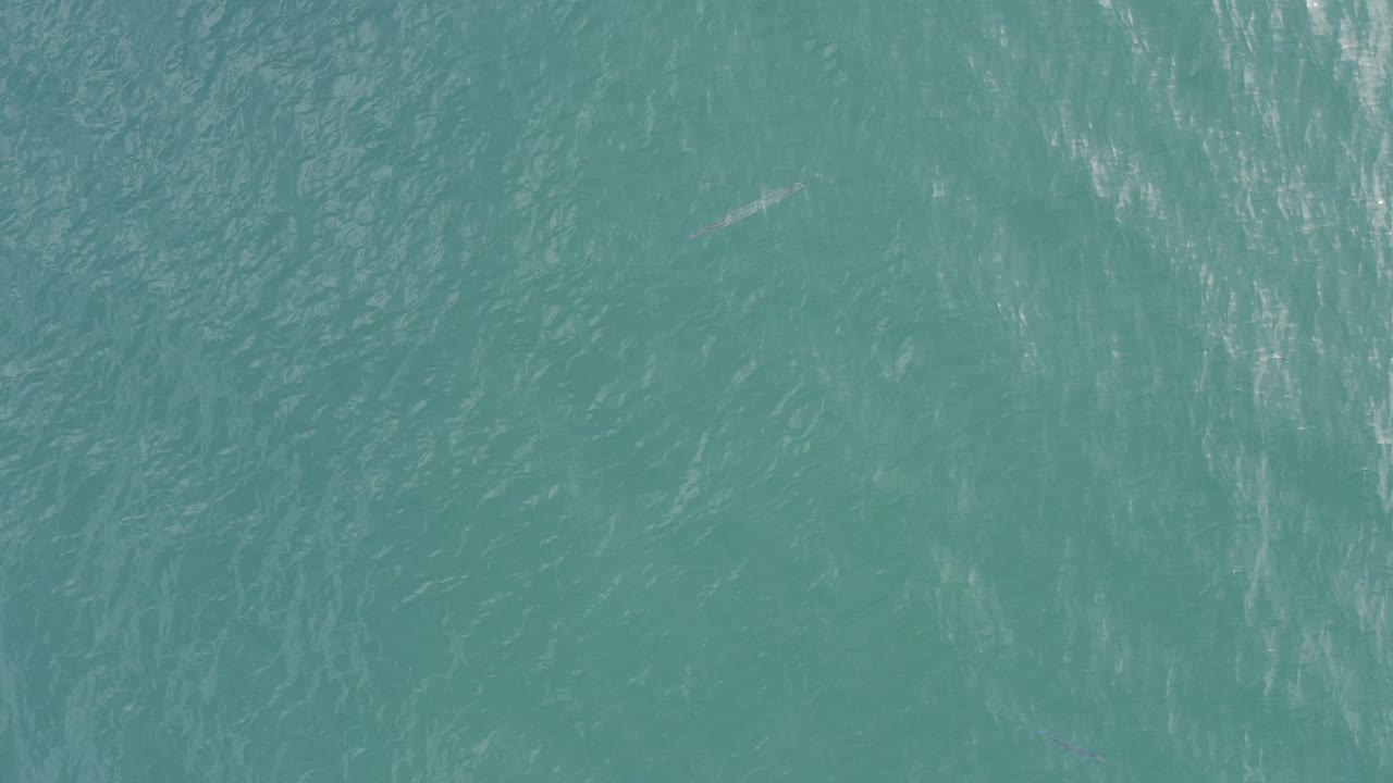Straight-down view of teal ocean water in Baja California Sur, Mexico, with soft light streaks and a small faint fish mark in otherwise empty water, no visible people.