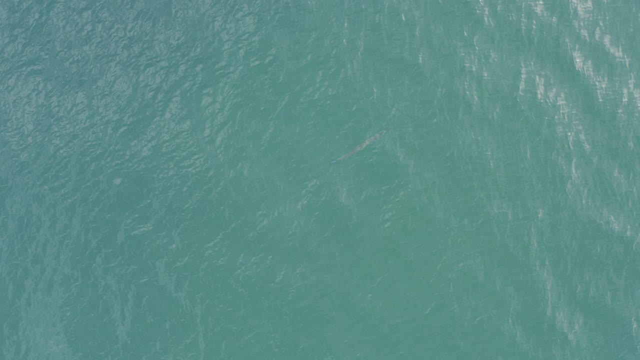 Blue-green ocean water fills the first frame from Baja California Sur, Mexico, with fine ripples, pale reflective streaks, and no visible people.