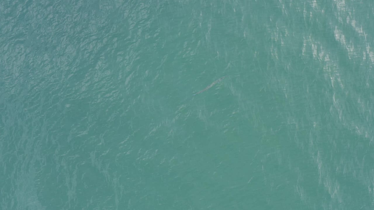Clear blue water covers the frame in Baja California Sur, Mexico, with soft surface texture and faint light streaks, with no visible people.