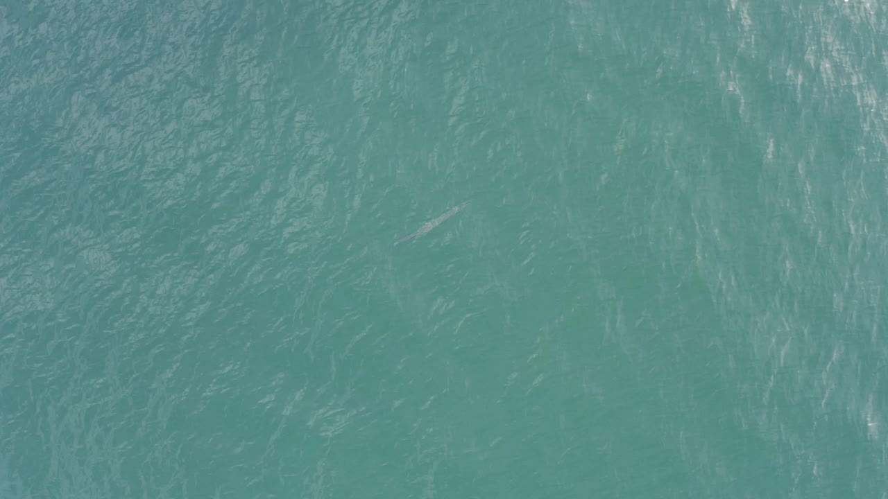 Turquoise ocean surface in Baja California Sur, Mexico shows thin white highlights across small ripples, with no land, boats, or visible people.