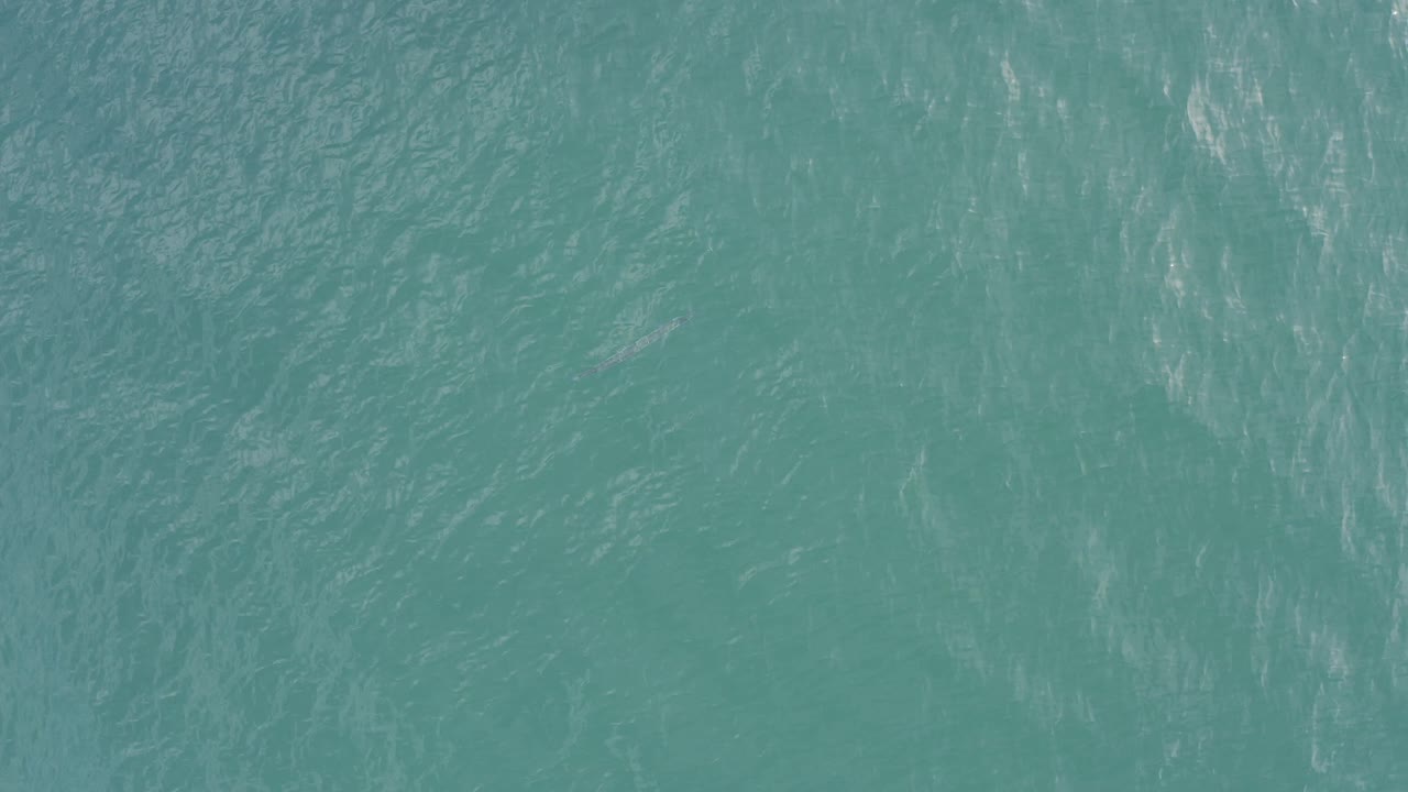 An even blue-green water pattern fills the frame from Baja California Sur, Mexico, with mottled ripples and no visible people or objects for scale.