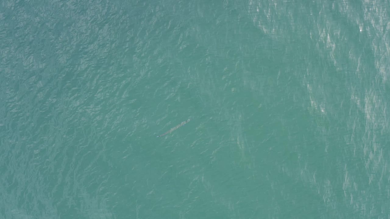 Blue-green water in Baja California Sur fills the frame, with faint white texture lines across the surface and no visible people.