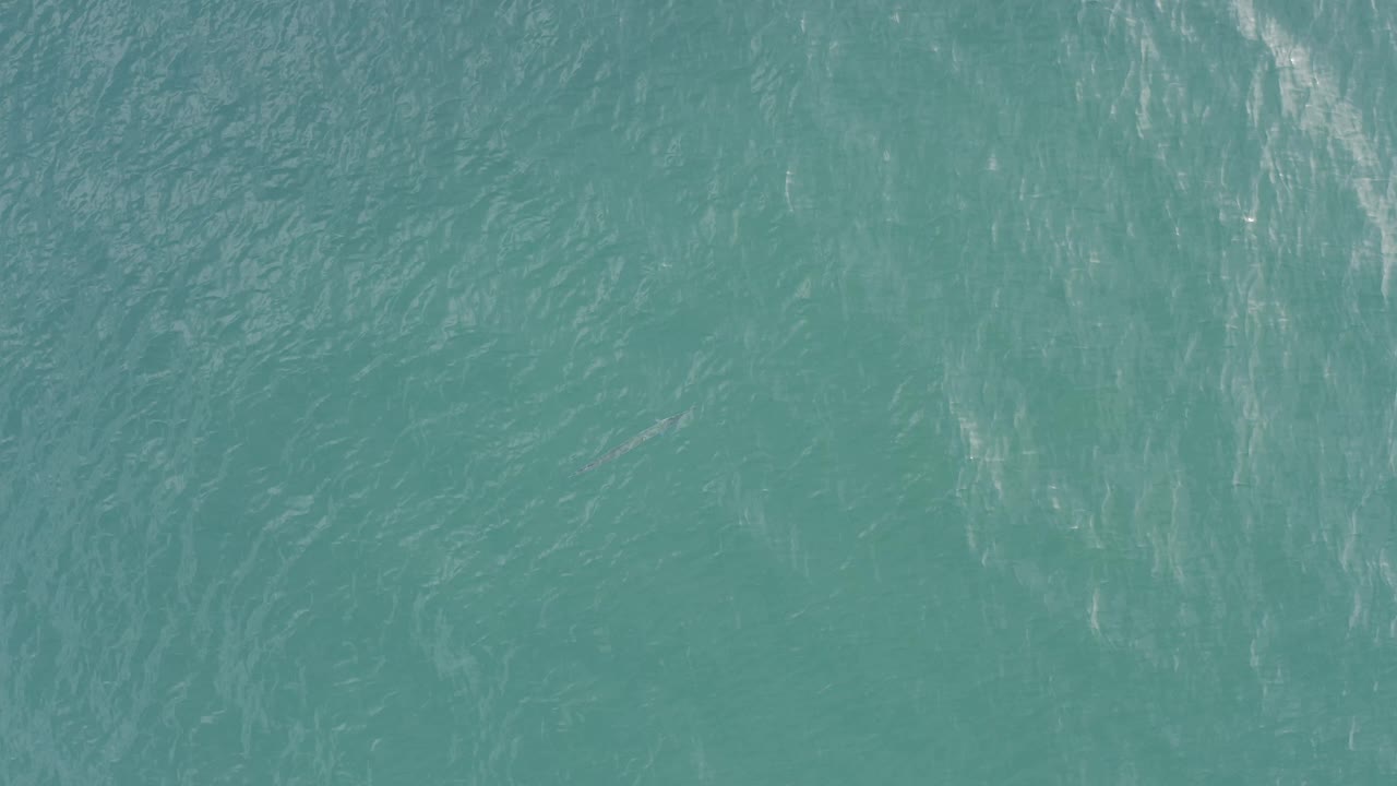 A top-down teal water view in Baja California Sur shows subtle ripple patterns and no boats, land, or visible people.