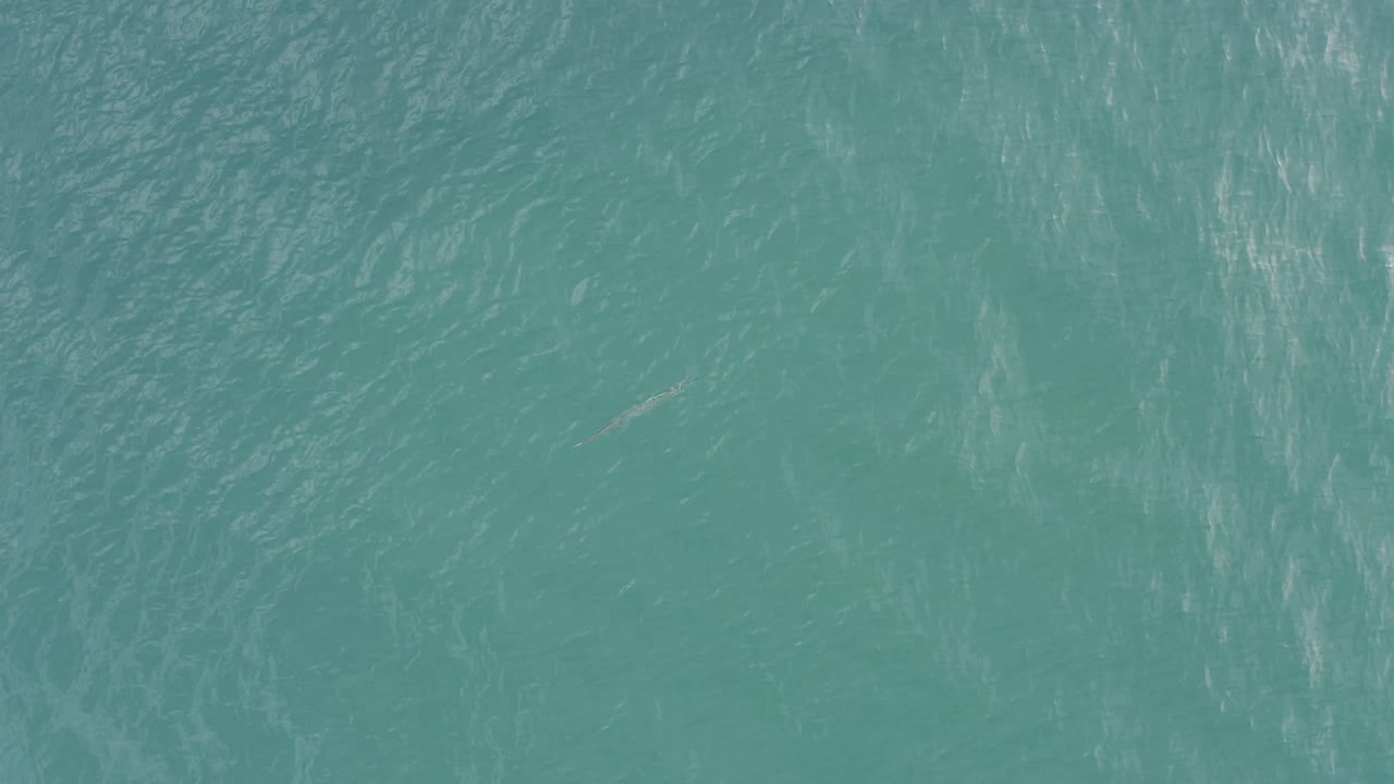 Overhead blue-green ocean surface in Baja California Sur shows darker ripple bands and scattered light streaks, with no visible people.