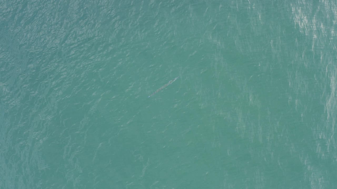 Opening overhead view of turquoise ocean in Baja California Sur, Mexico, with faint whale forms or surface marks near the water and no visible people.