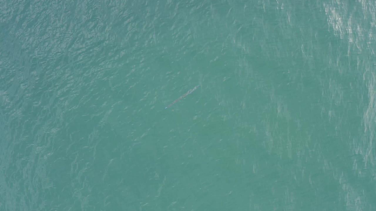 Overhead ocean water with pale surface streaks and a small whale trace.