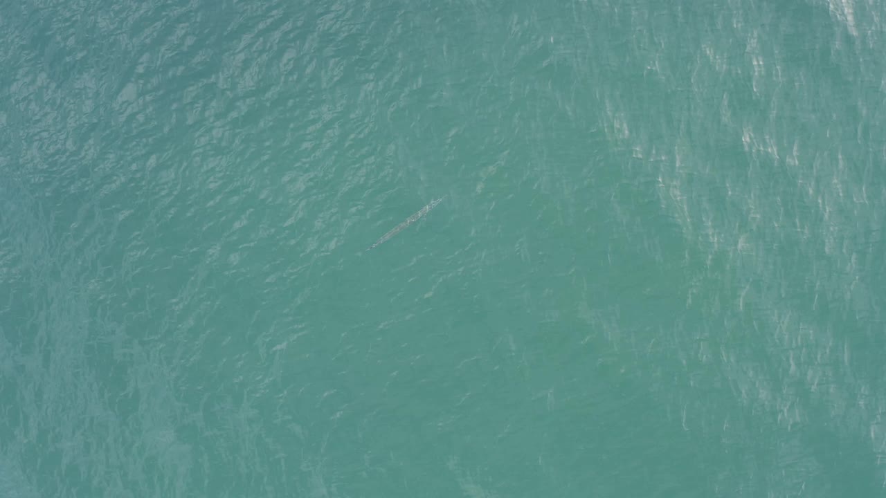 Mid-clip overhead frame in Baja California Sur, Mexico, with blue-green ocean texture, bright ripple lines, and a tiny whale detail at the surface with no visible people.