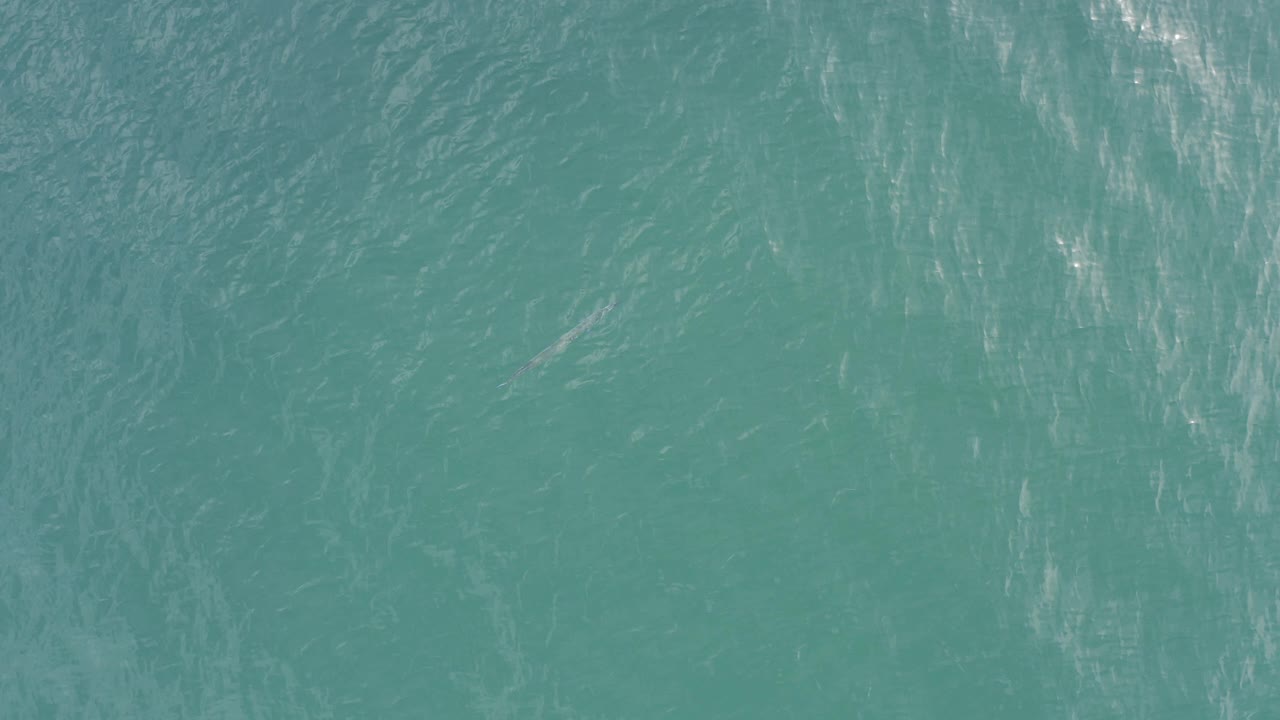 Top-down view of green ocean water in Baja California Sur, Mexico, with soft ripples and no visible people.
