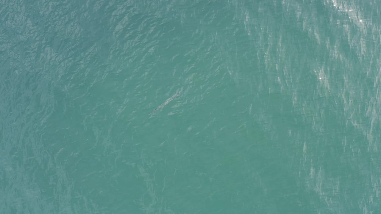 Blue green ocean surface in Baja California Sur, Mexico, filled with small wave patterns and no visible people.