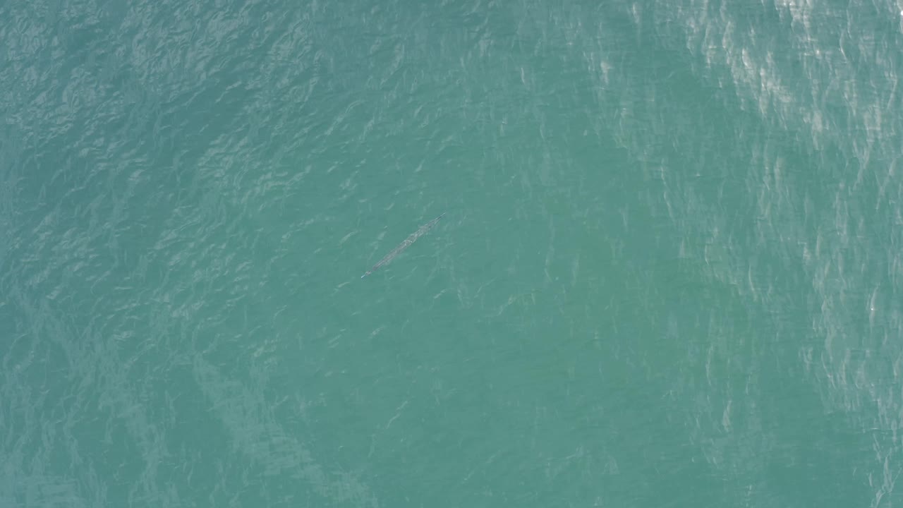 Overhead frame of green ocean water in Baja California Sur, Mexico, showing faint vertical light streaks and no visible people.