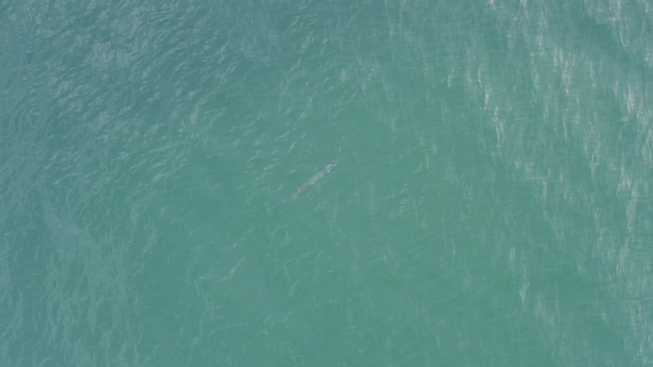 Turquoise green ocean surface in Baja California Sur, Mexico, with denser ripple texture across the frame and no visible people.