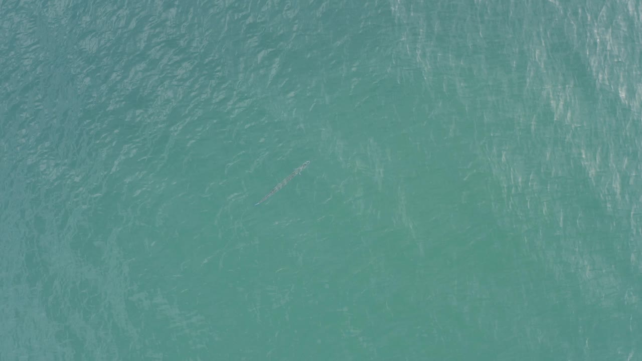 Overhead turquoise water in Baja California Sur, Mexico, with fine ripples, light glare across the surface, and no visible people.