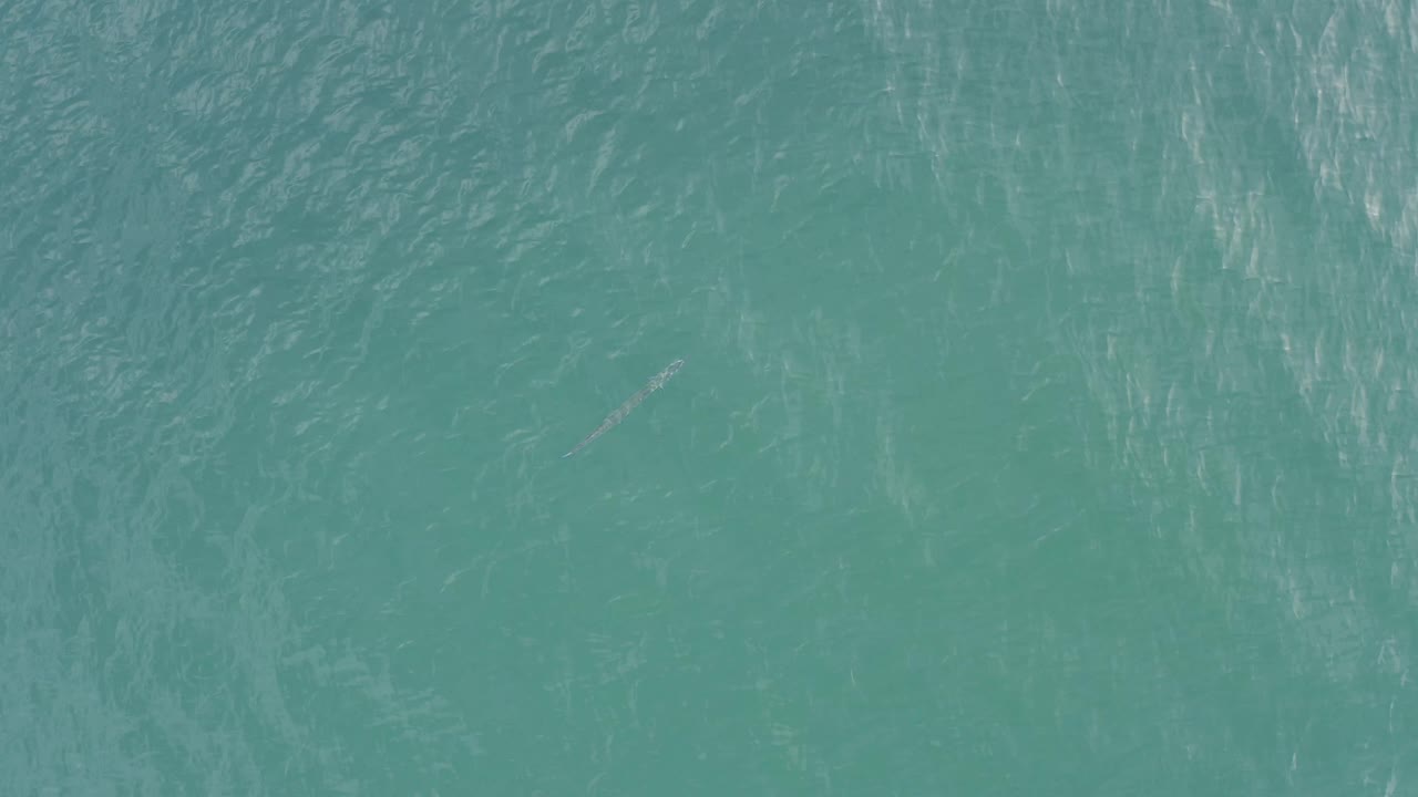 High overhead view of Baja California Sur water, showing a broad teal surface with small wave marks and no visible people.