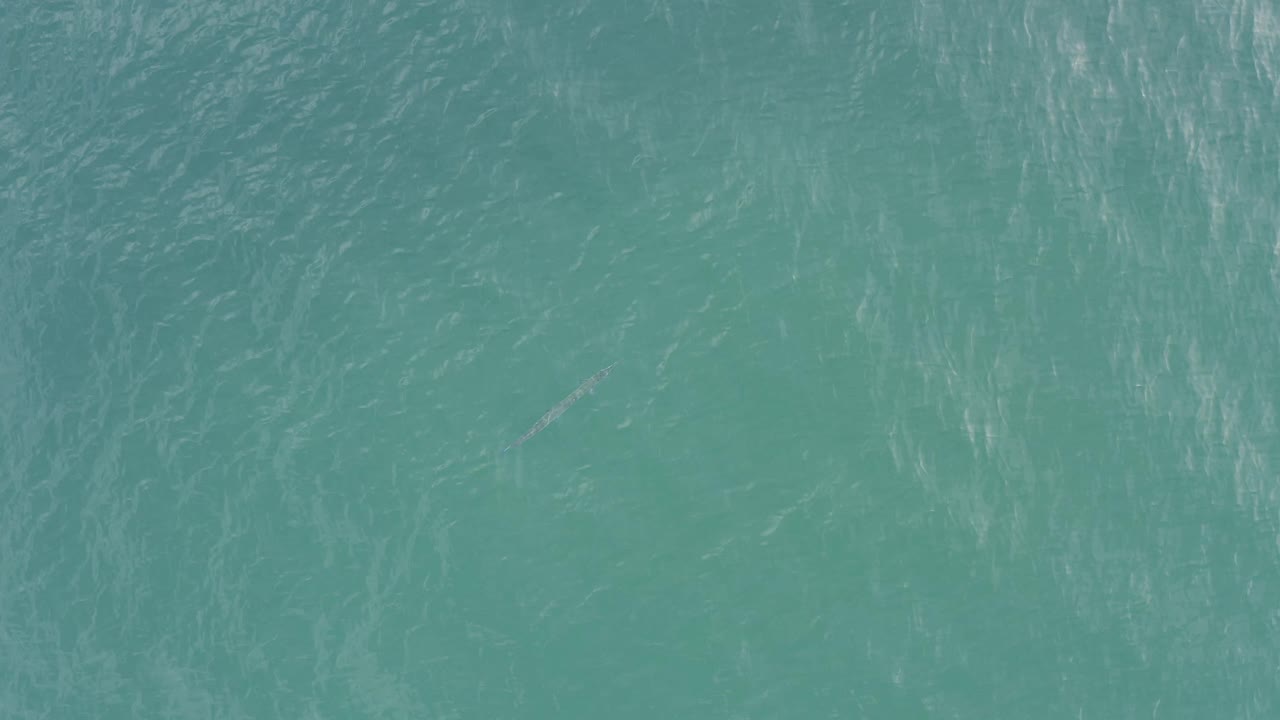 Aerial Baja California Sur ocean frame with turquoise ripples, light surface streaks, and faint elongated marks below the water, with no visible people.