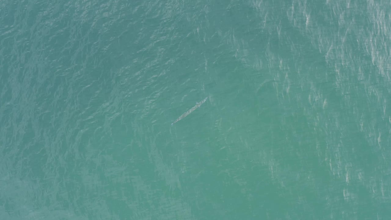 The third frame shows textured green-blue water in Baja California Sur, Mexico, with brighter surface streaks and a faint fish form below, no visible people.